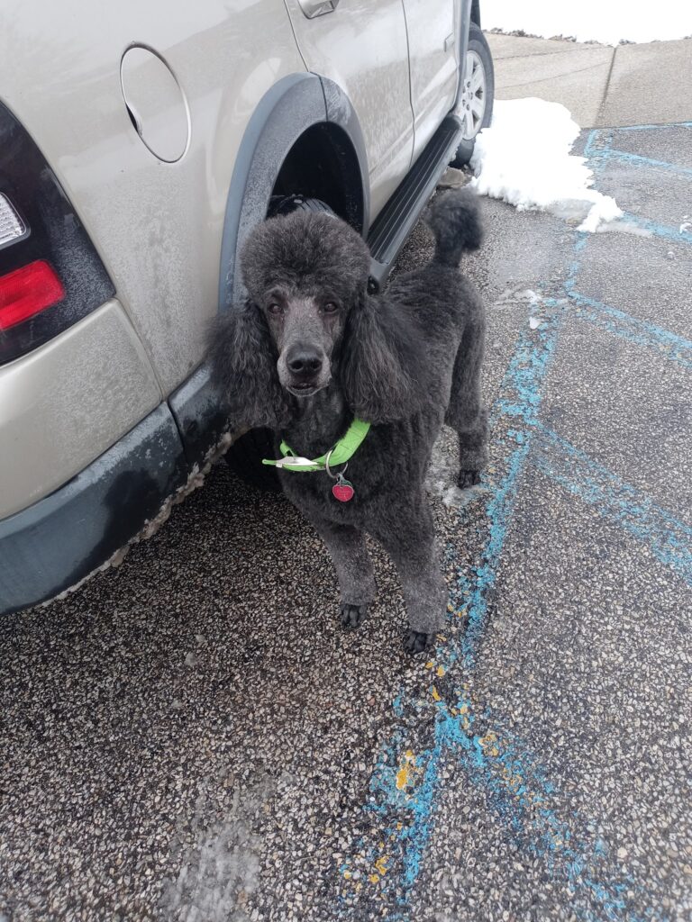 SPAW COLLECTIVE - Updated March 2026 - Yelp