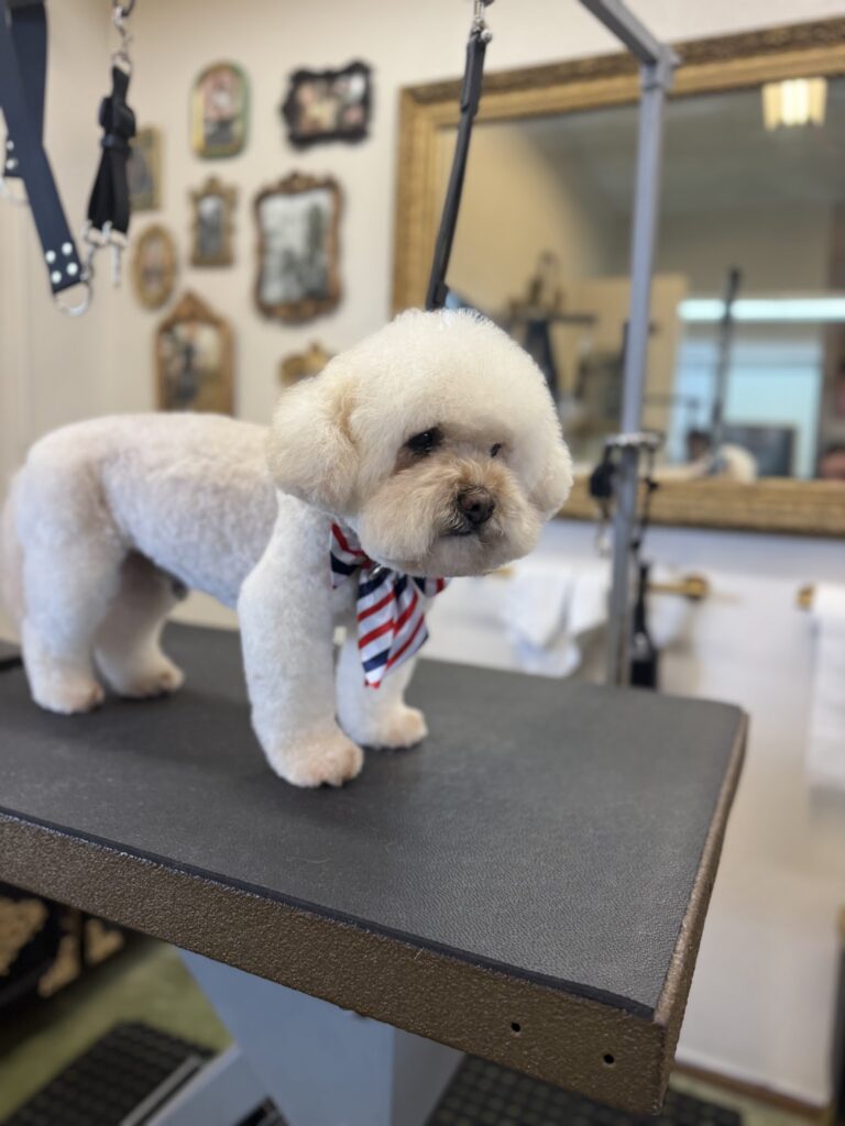 Petco Dog Grooming: Dog Baths, Haircuts, Nail Trimming